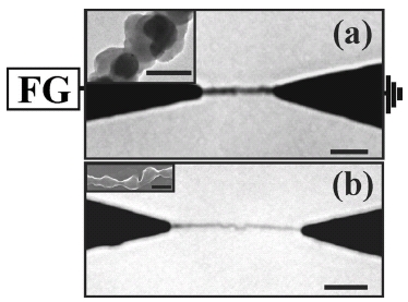 nanowires
