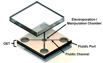 sc-electroporation