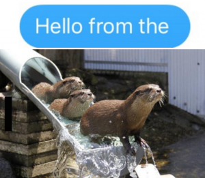 Hello from the otter slide!!