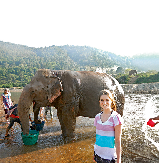 Veterinary Science student Ainsley Sutton undertook work placement at the Elephant Nature Park, Thailand.